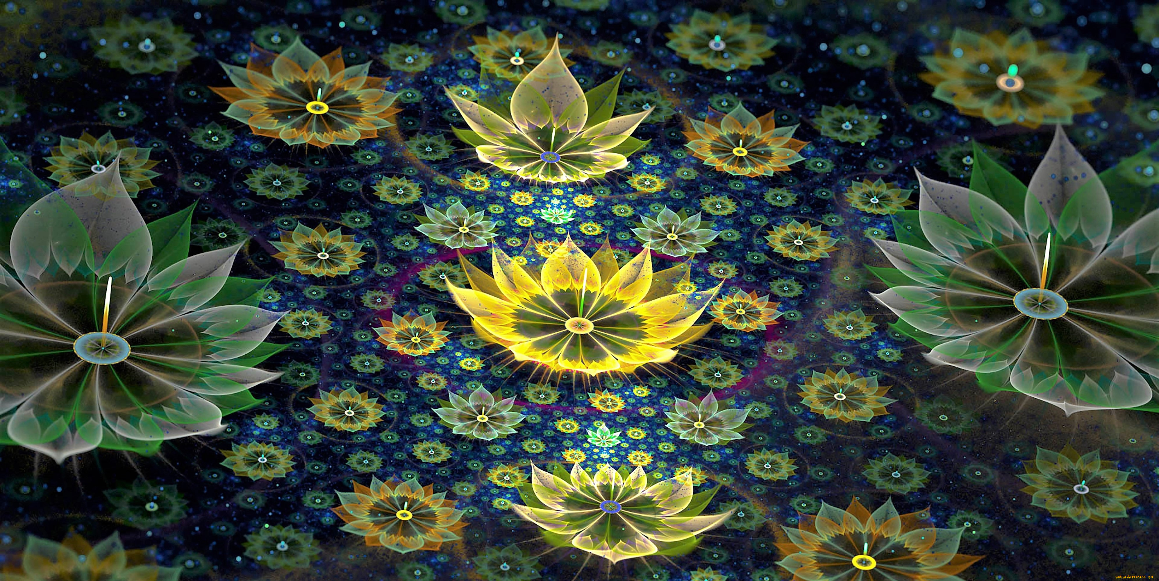 3 ,  , flowers, 
